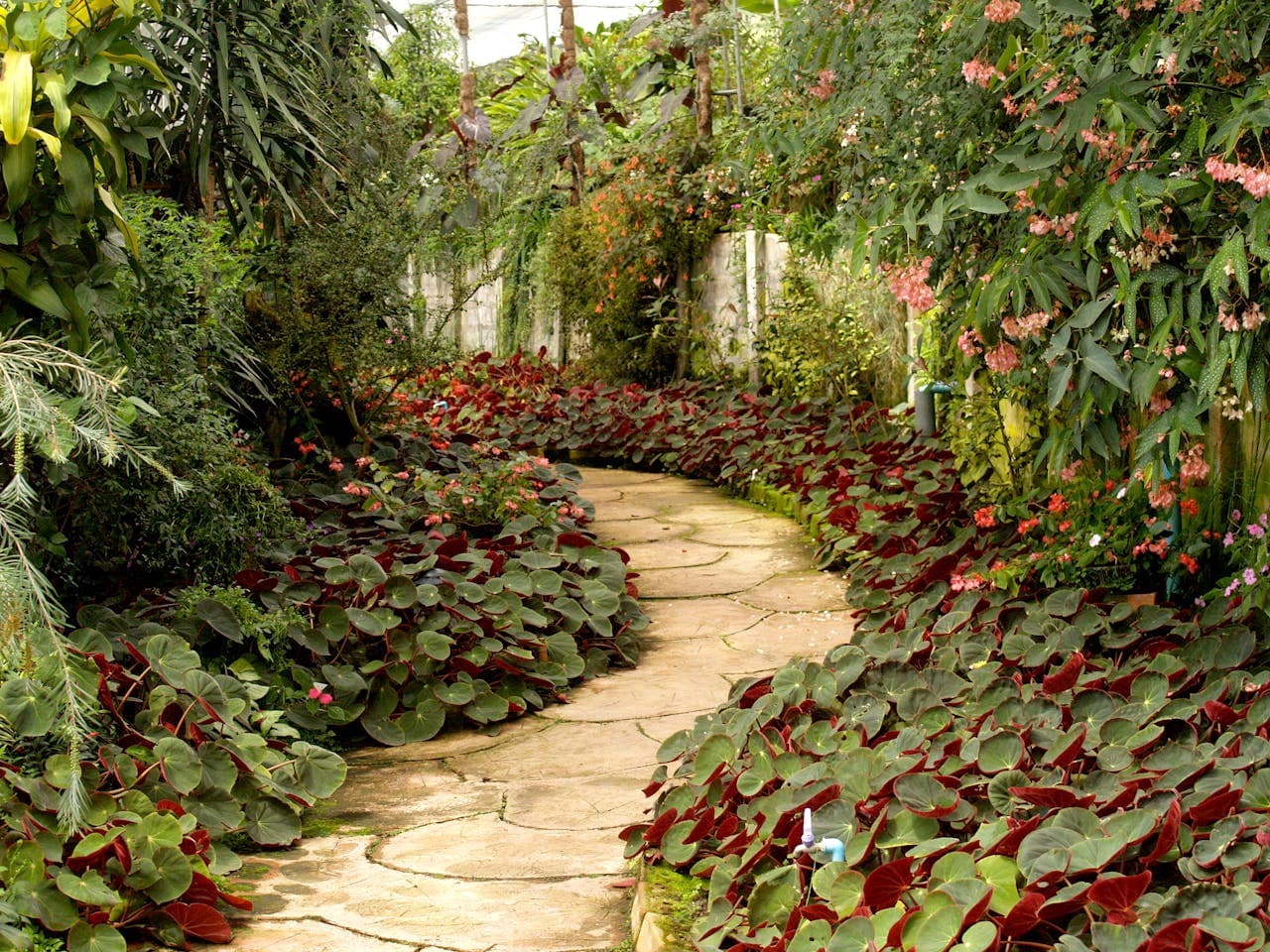 Jardin méditerranéen à Mougins - Votre Eden Méditerranéen