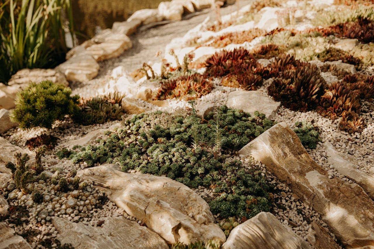 Jardin sec à Antibes - Votre Eden Méditerranéen